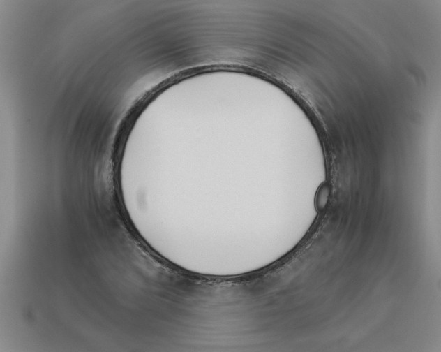 X0000112881072200910021348