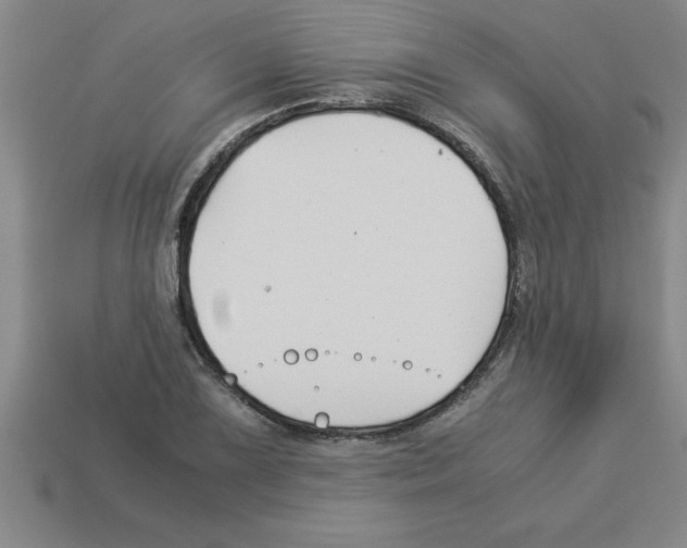 X0000112881075200910021348