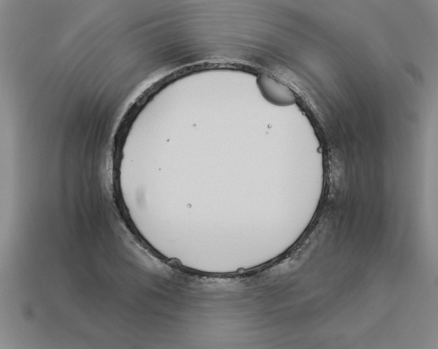 X0000112881076200910021348