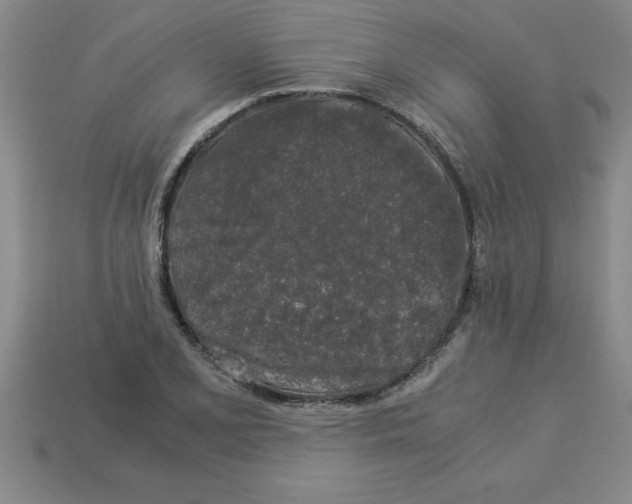 X0000112881077200910021348