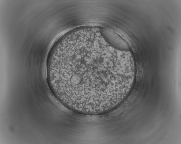 X0000112881080200910021348