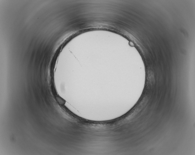 X0000112881082200910021348