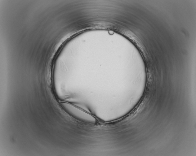 X0000112881083200910021348