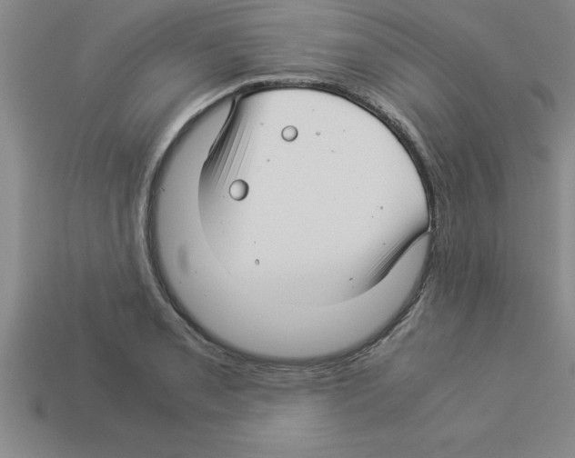 X0000112881085200910021348