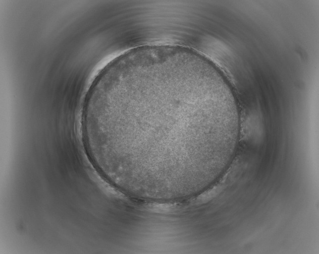 X0000112881086200910021348