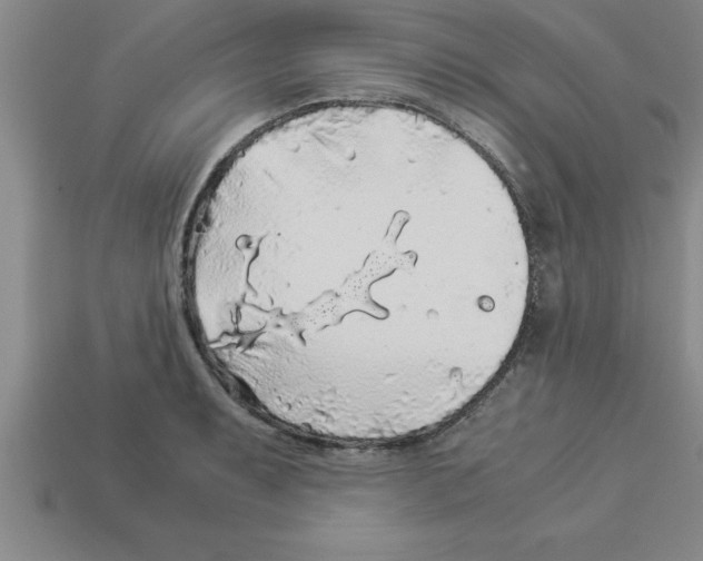 X0000112881087200910021348