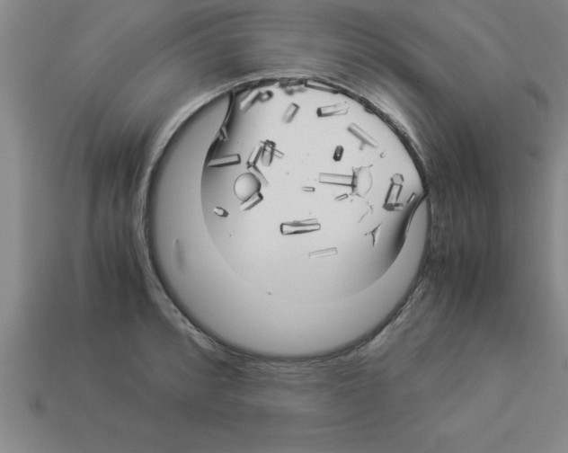 X0000112881088200910021348