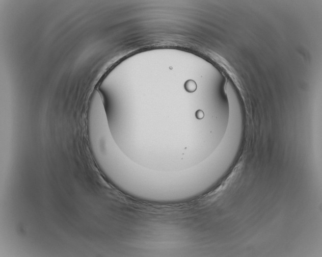 X0000112881089200910021348