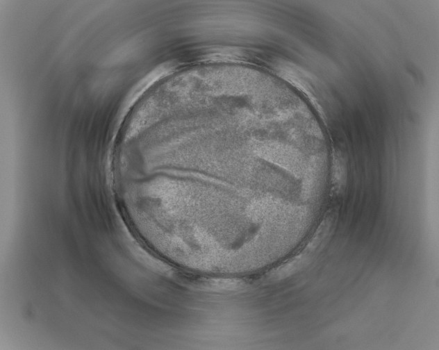 X0000112881090200910021348