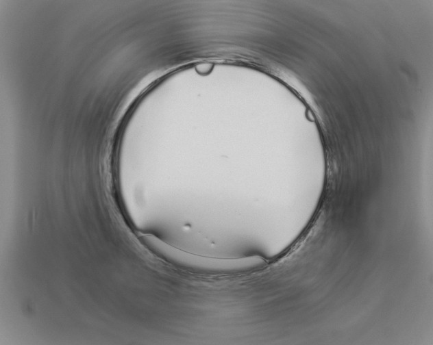 X0000112881091200910021348