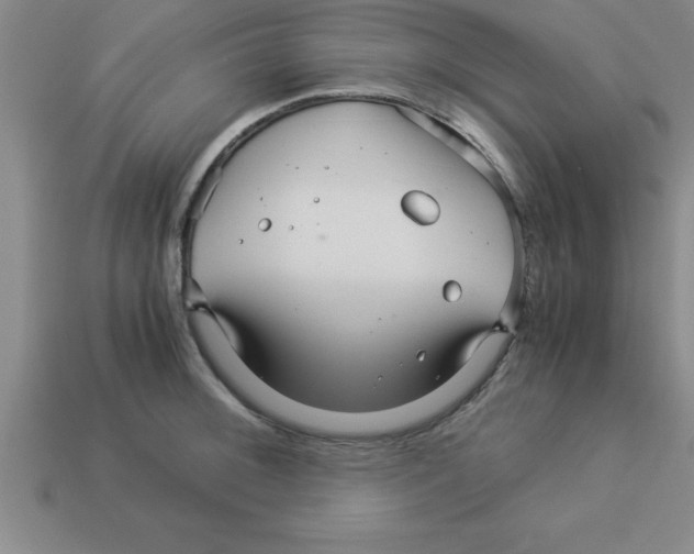 X0000112881092200910021348