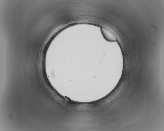 X0000112881093200910021348