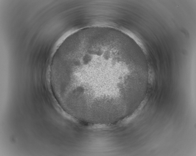 X0000112881094200910021348