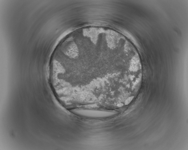 X0000112881095200910021348