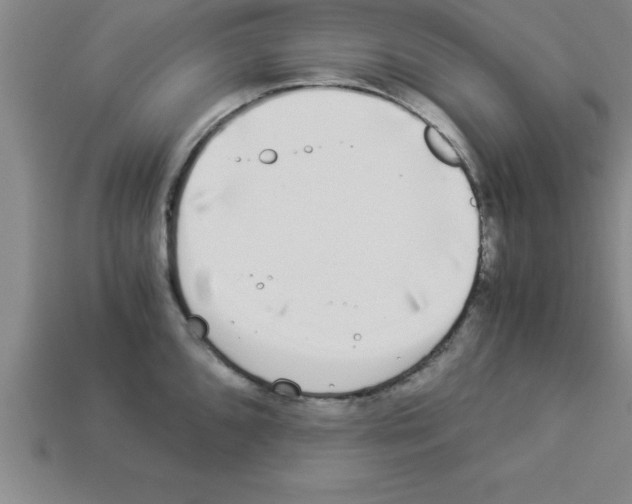 X0000112881096200910021348