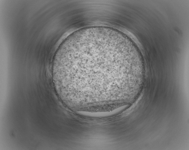 X0000112881097200910021348