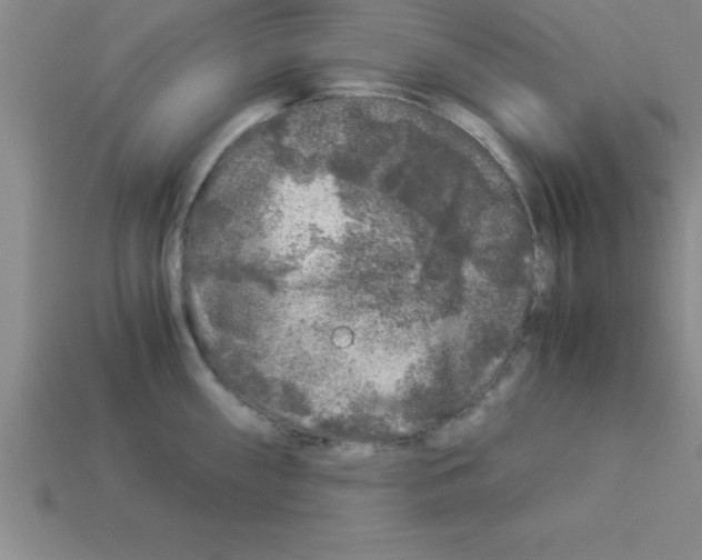 X0000112881098200910021348