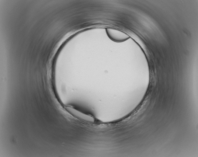 X0000112881099200910021348