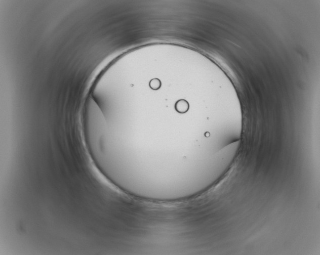 X0000112881100200910021348