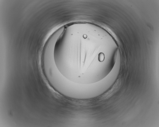 X0000112881101200910021348