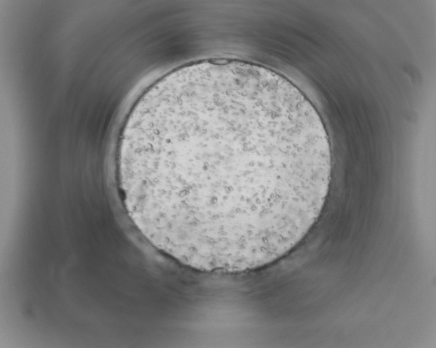 X0000112881104200910021348