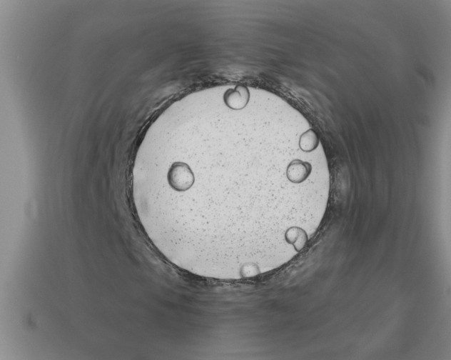 X0000112881105200910021347