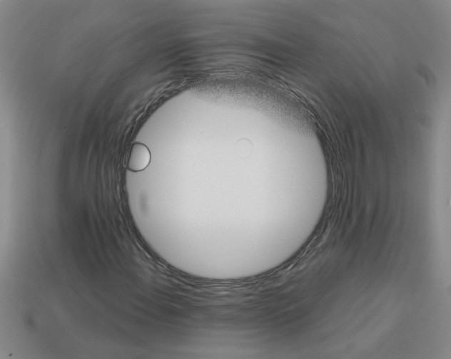 X0000112881108200910021347