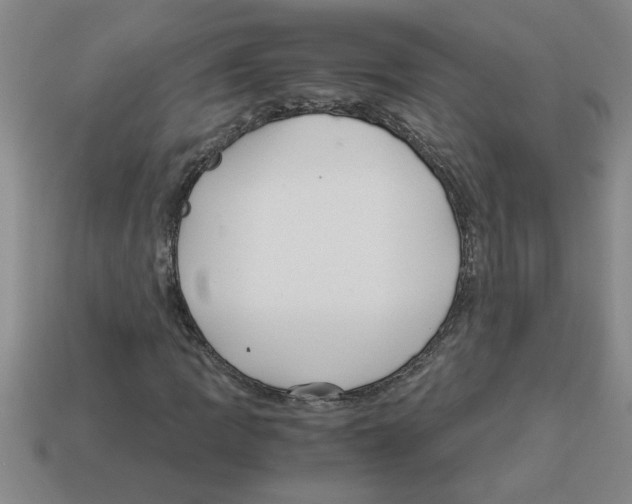 X0000112881109200910021347