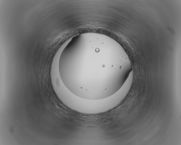 X0000112881110200910021347