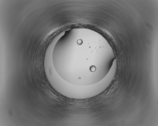 X0000112881112200910021348