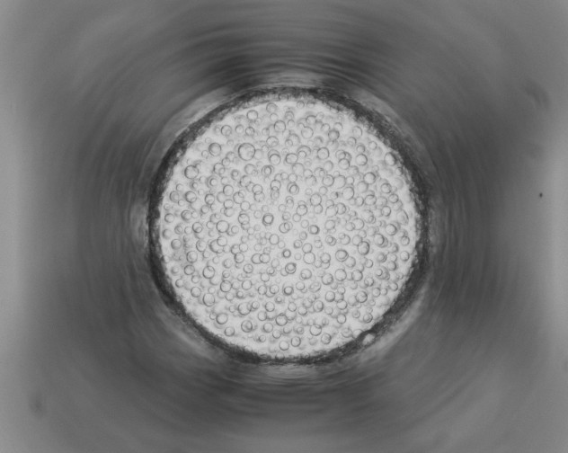 X0000112881113200910021348