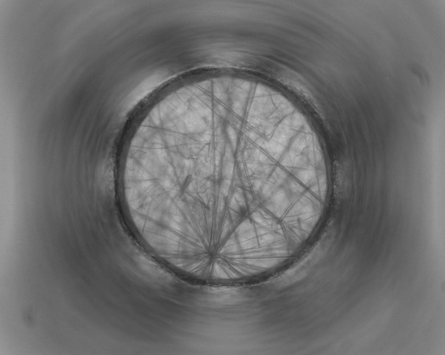 X0000112881114200910021348