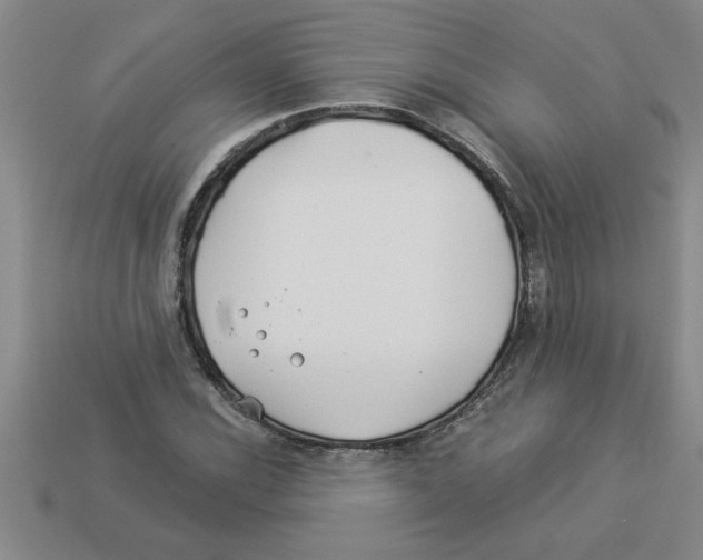 X0000112881116200910021348