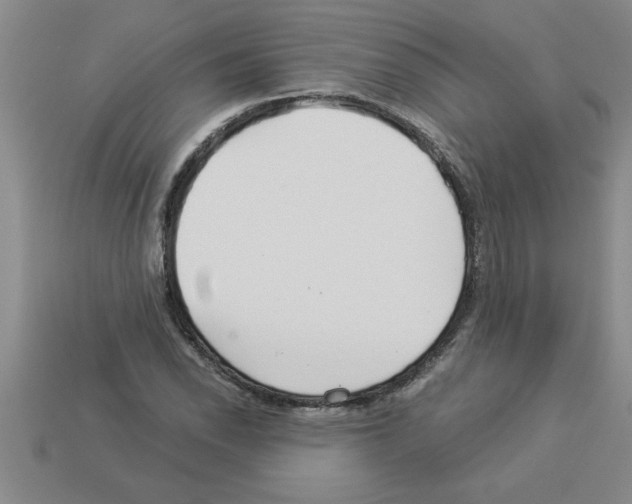 X0000112881118200910021348