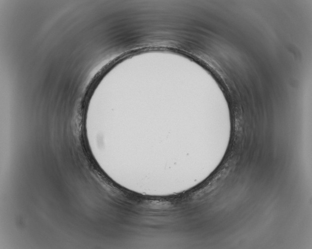 X0000112881119200910021348