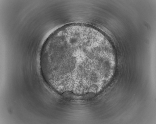 X0000112881120200910021348