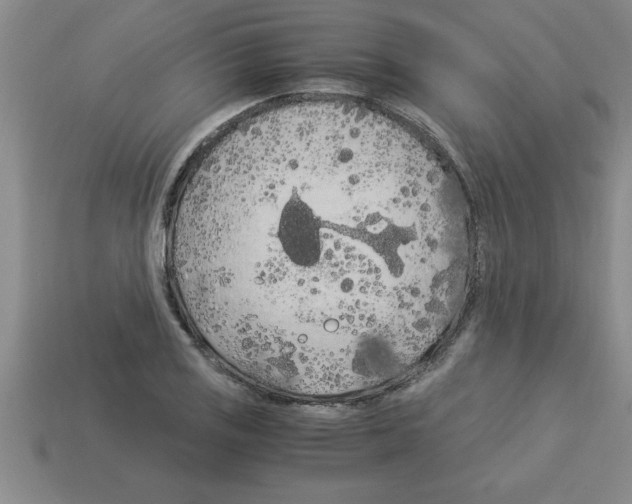 X0000112881125200910021348