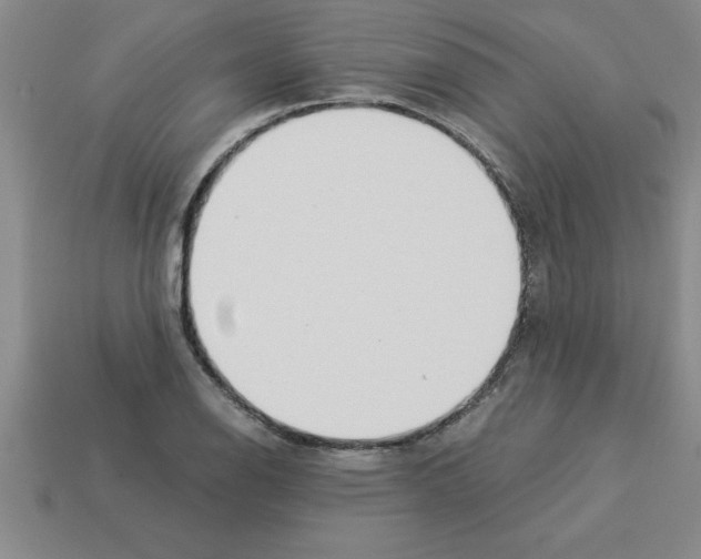 X0000112881126200910021348