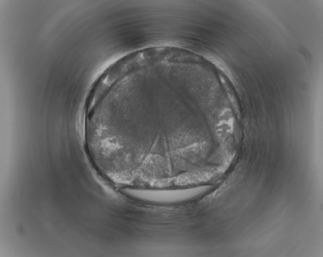 X0000112881127200910021348