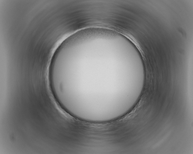 X0000112881128200910021348