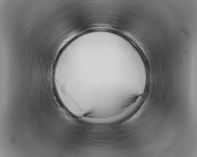 X0000112881129200910021348