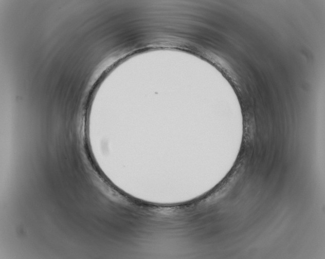 X0000112881130200910021348