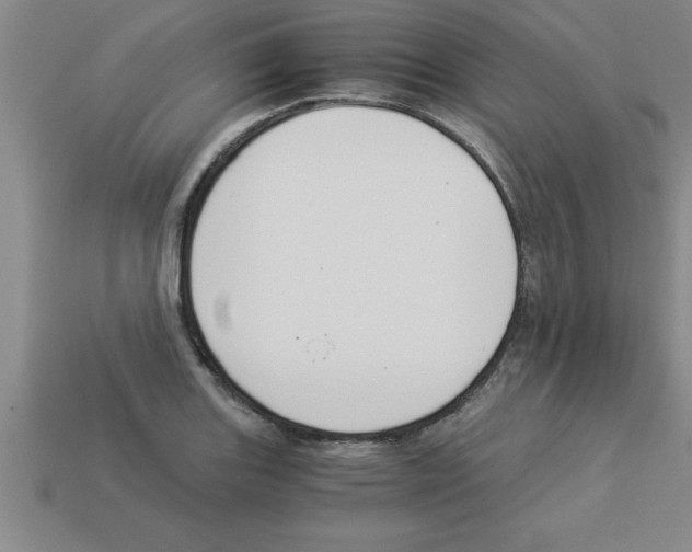 X0000112881131200910021348