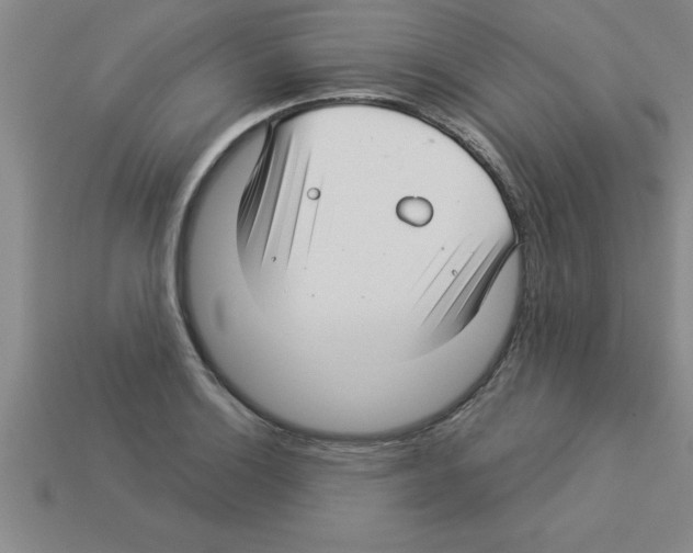 X0000112881132200910021348