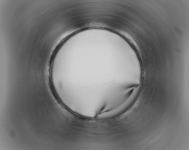 X0000112881133200910021348