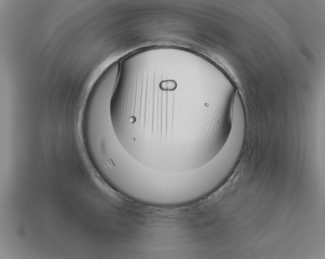 X0000112881136200910021348