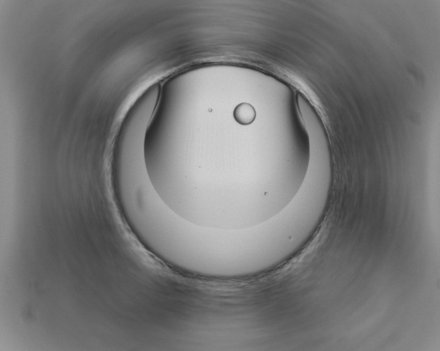 X0000112881138200910021348