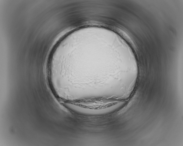 X0000112881141200910021348