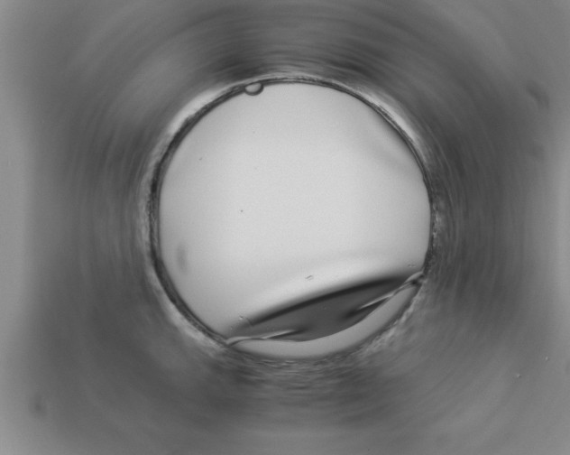 X0000112881143200910021348