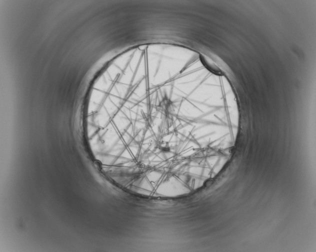 X0000112881144200910021348